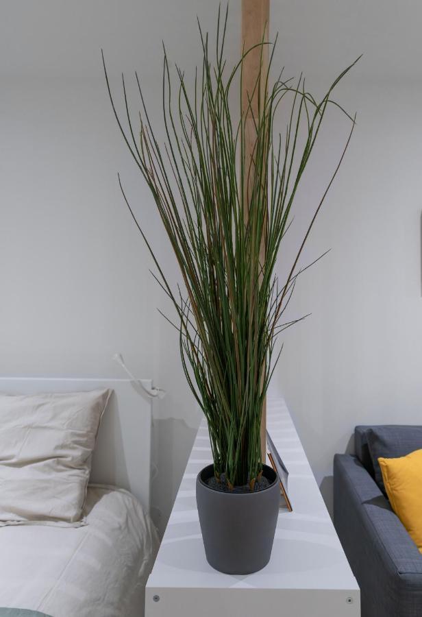 ※Perrier Menthe※ Hyper-Centre Et Tranquillite Apartment Clermont-Ferrand Ngoại thất bức ảnh